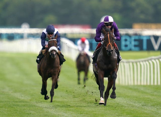 Mojo Star (right) was placed in two Classics last season