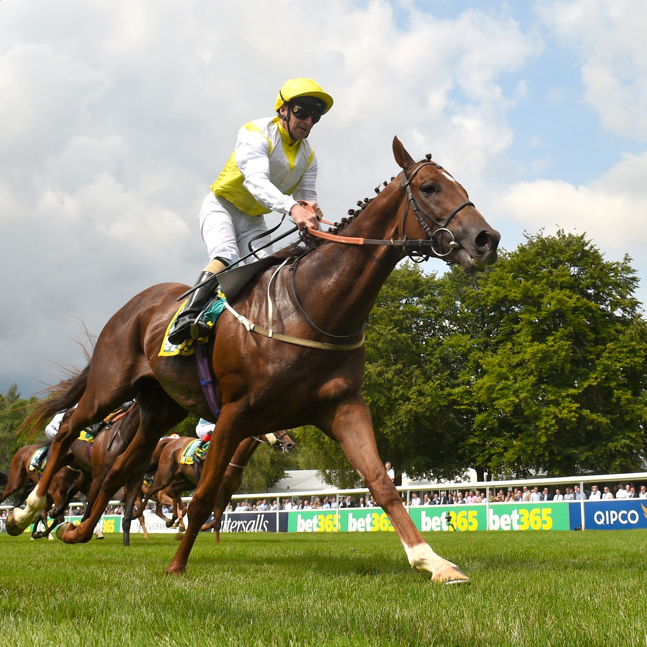 King’s Advice emerged victorious at Newmarket