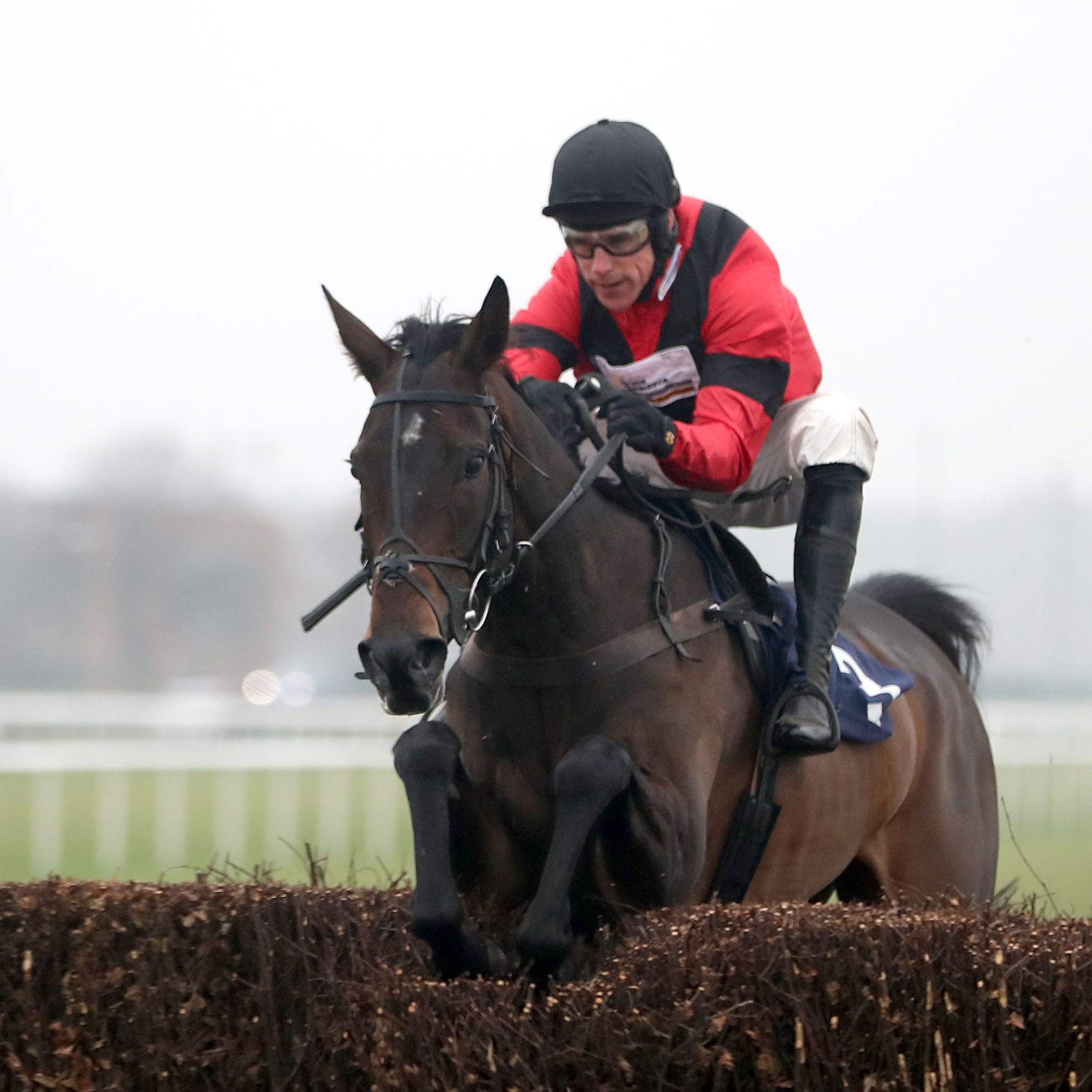 Rene’s Girl could kick off her season at Aintree on October 28