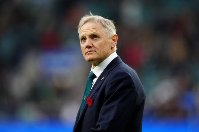 Australia head coach Joe Schmidt