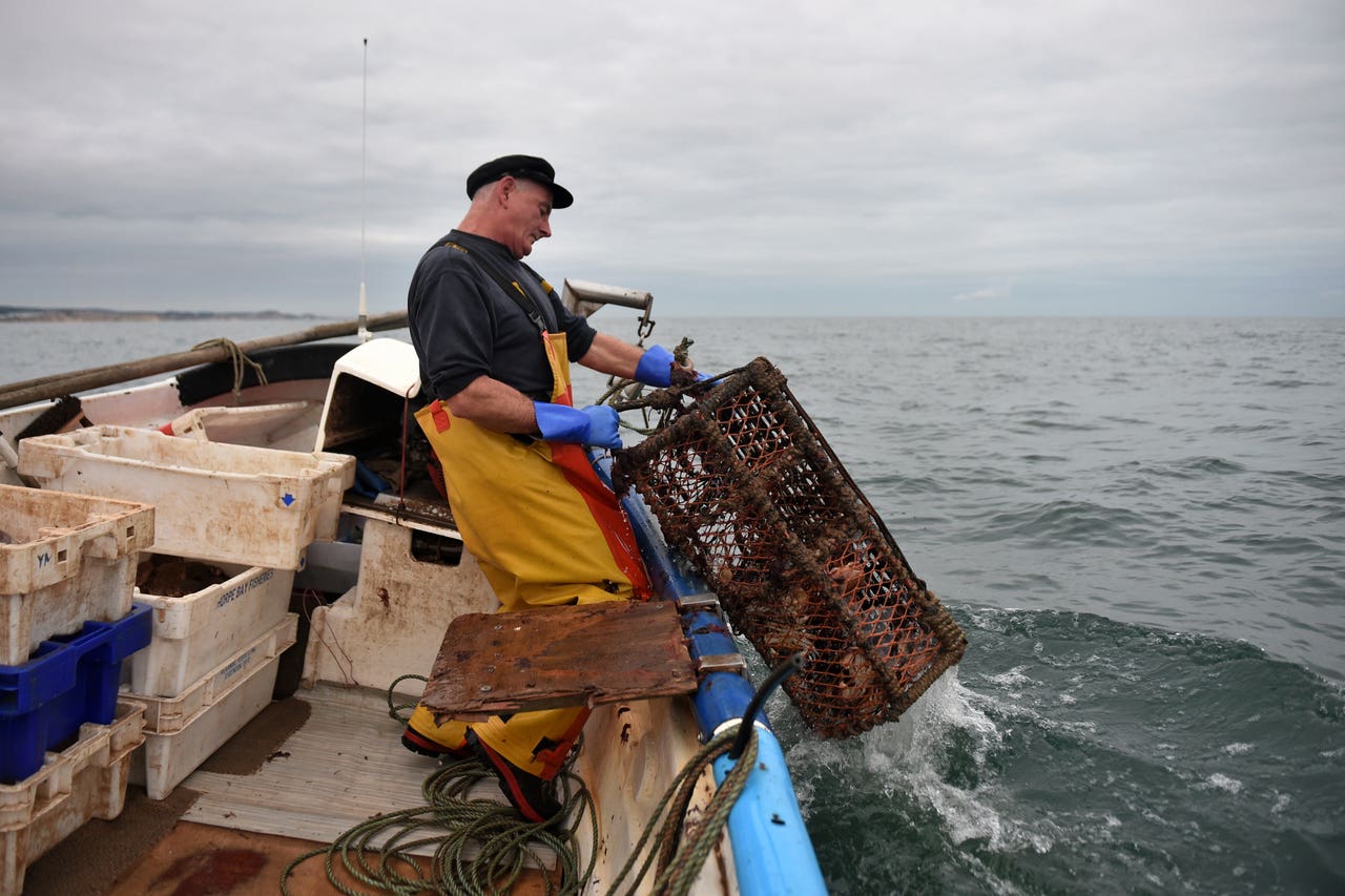 Shortage of crab fishermen in Cromer ‘a real concern’ Shropshire Star