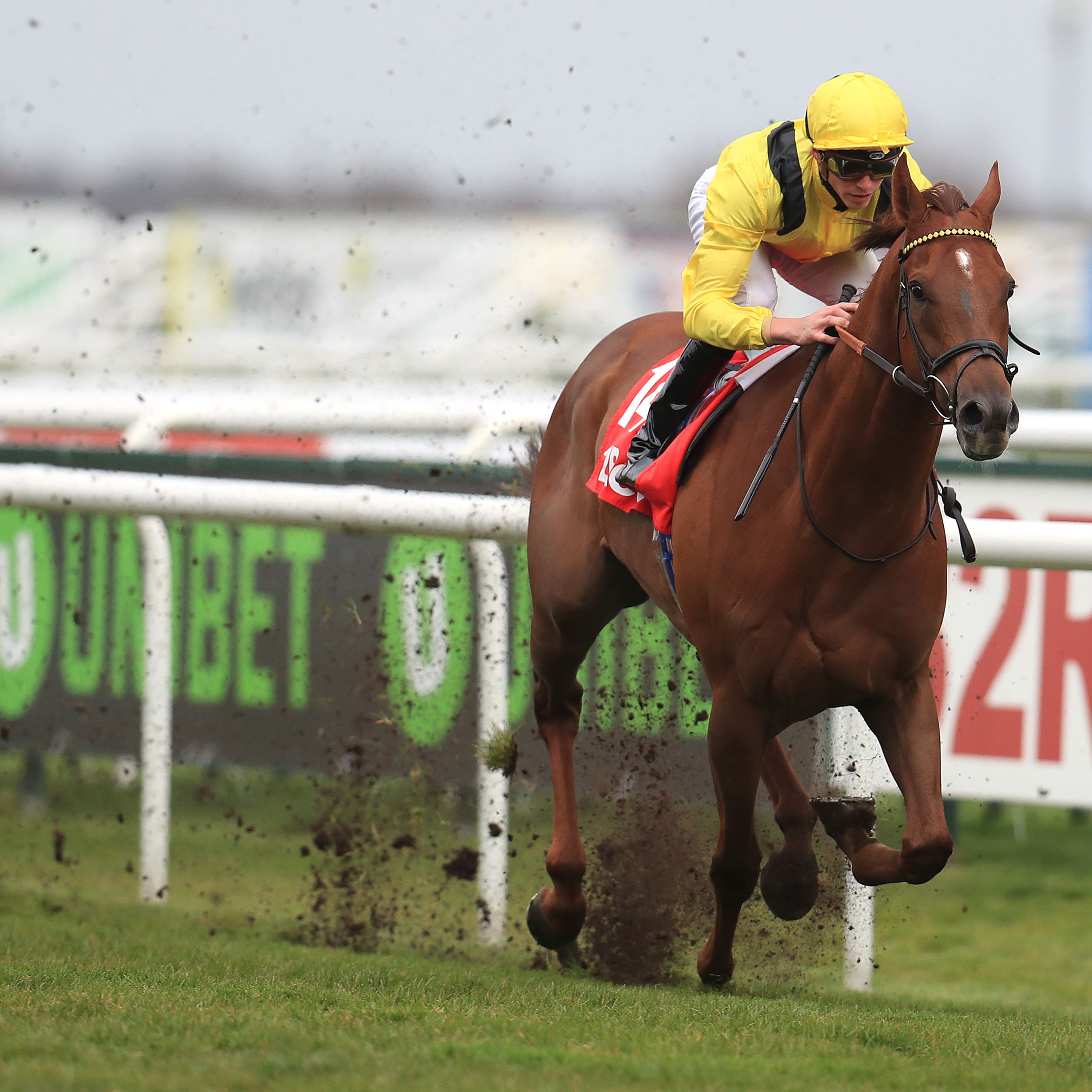 Addeybb winning the Lincoln at Doncaster in March (Mike Egerton/PA)