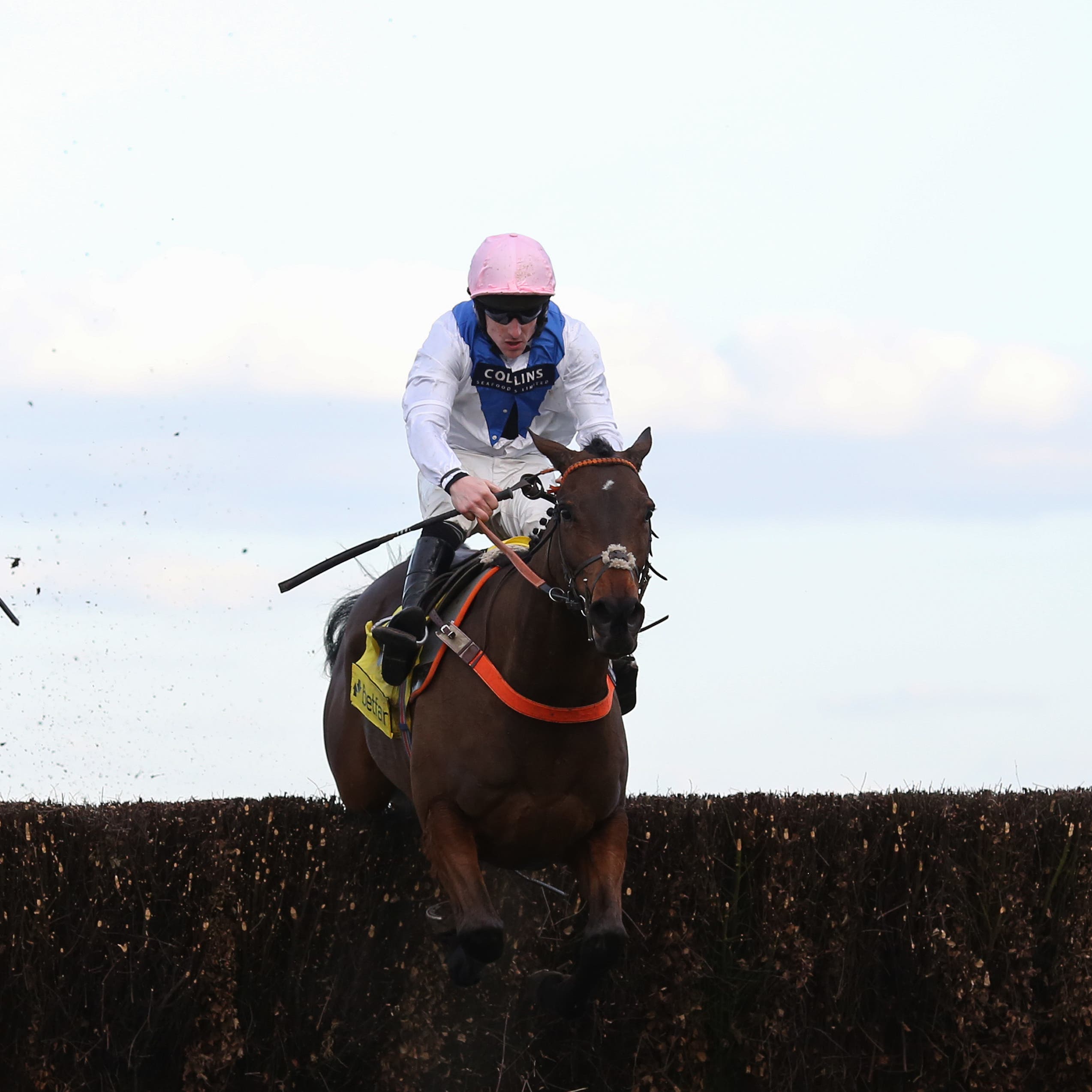 Waiting Patiently (right) won the Ascot Chase last year