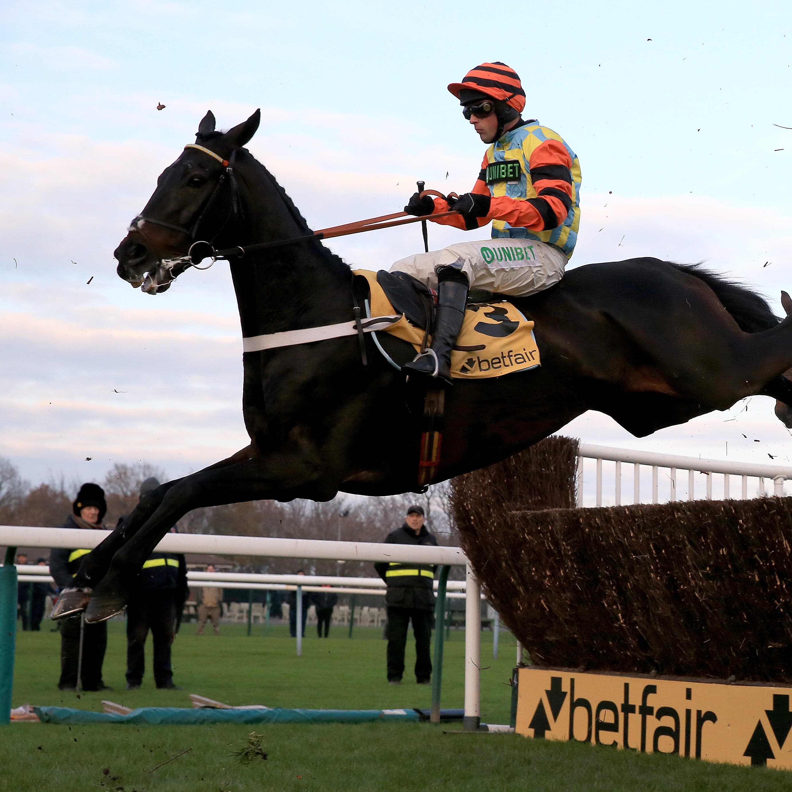 Might Bite had an unhappy experience at Haydock