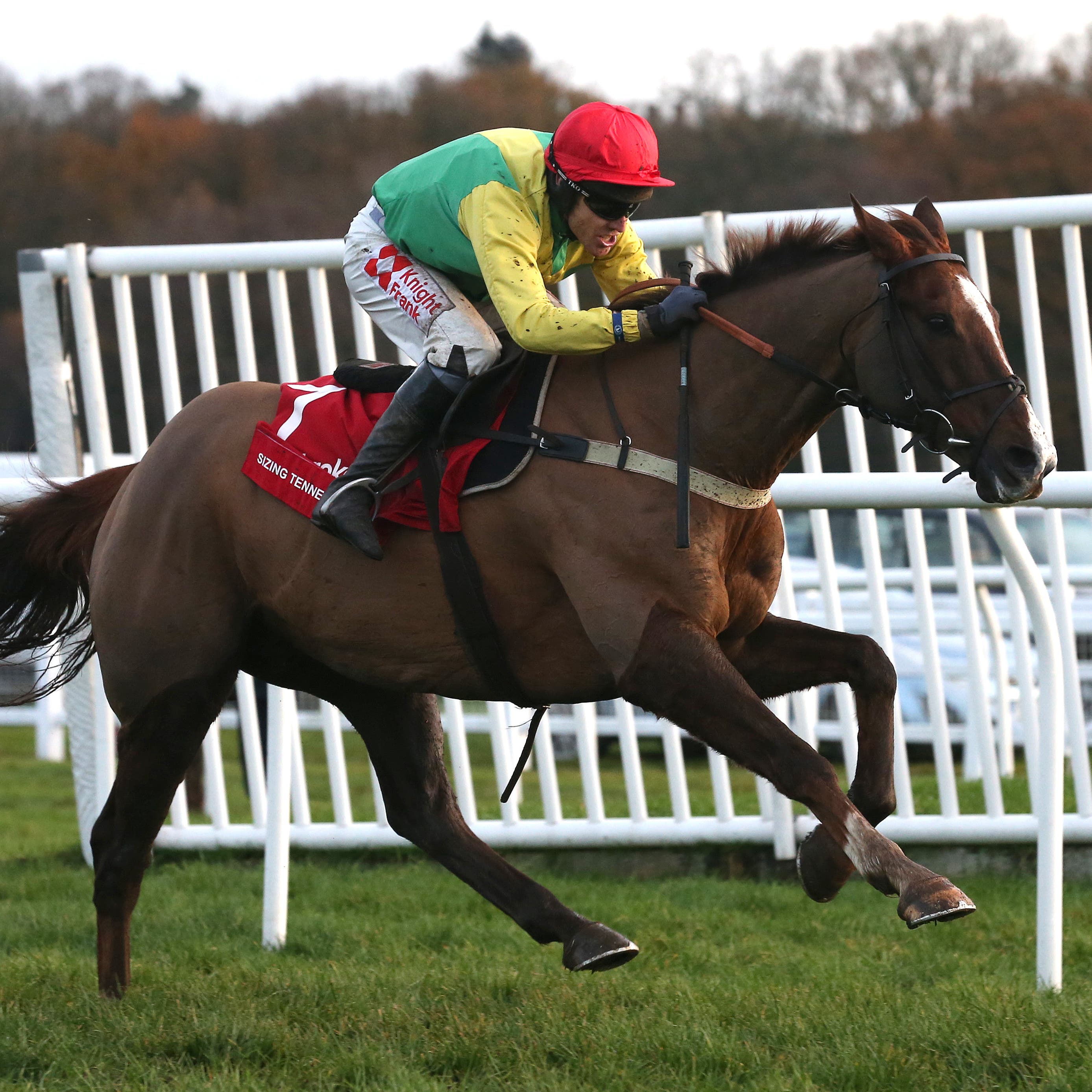 Sizing Tennessee and Tom Scudamore win the Ladbrokes Trophy