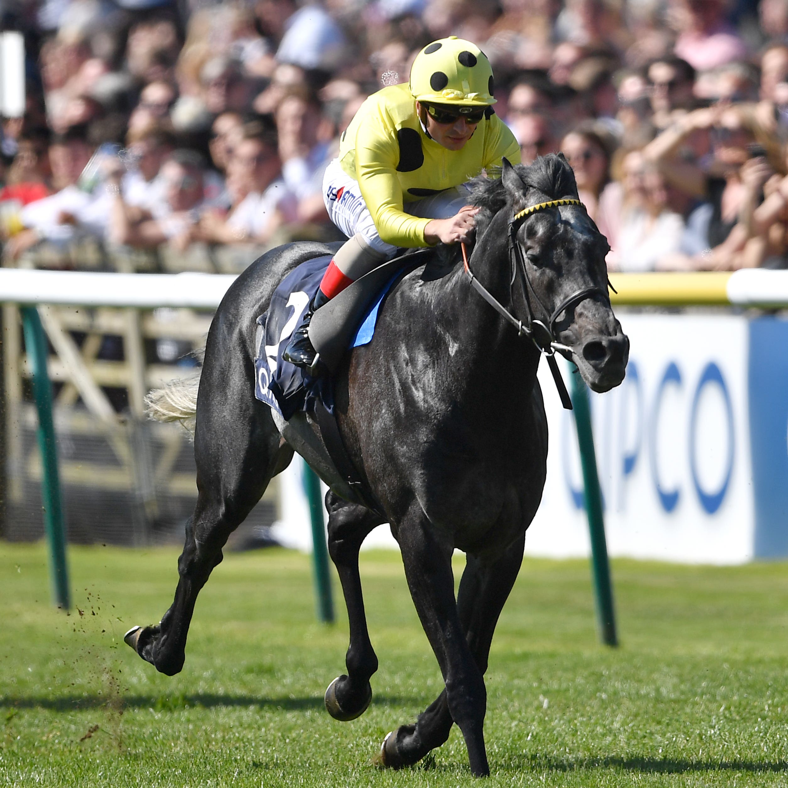 Defoe (right) wins the Jockey Club Stakes at Newmarket