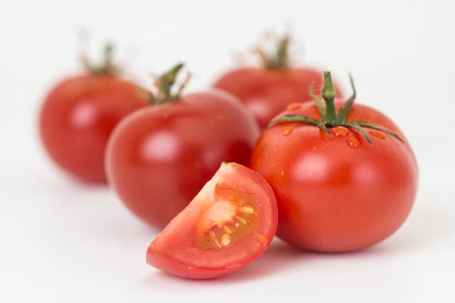 Genetically modified tomatoes
