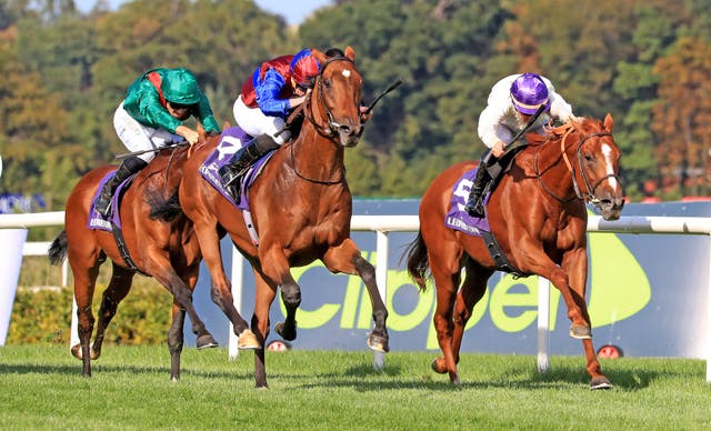 Vadeni (left) and Onesto (right) in action at Leopardstown 