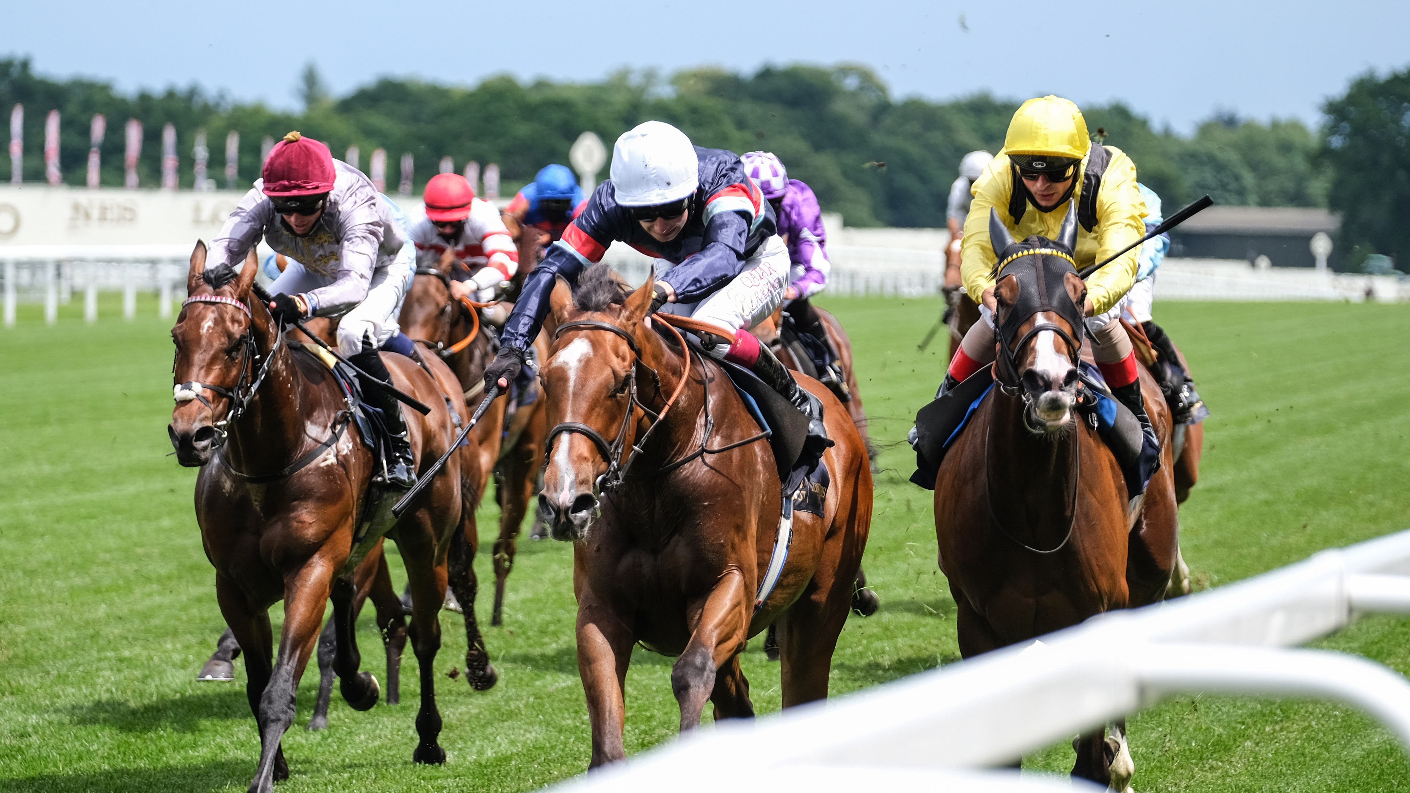 Queen At Ascot 2021 Queen At Ascot 2021
