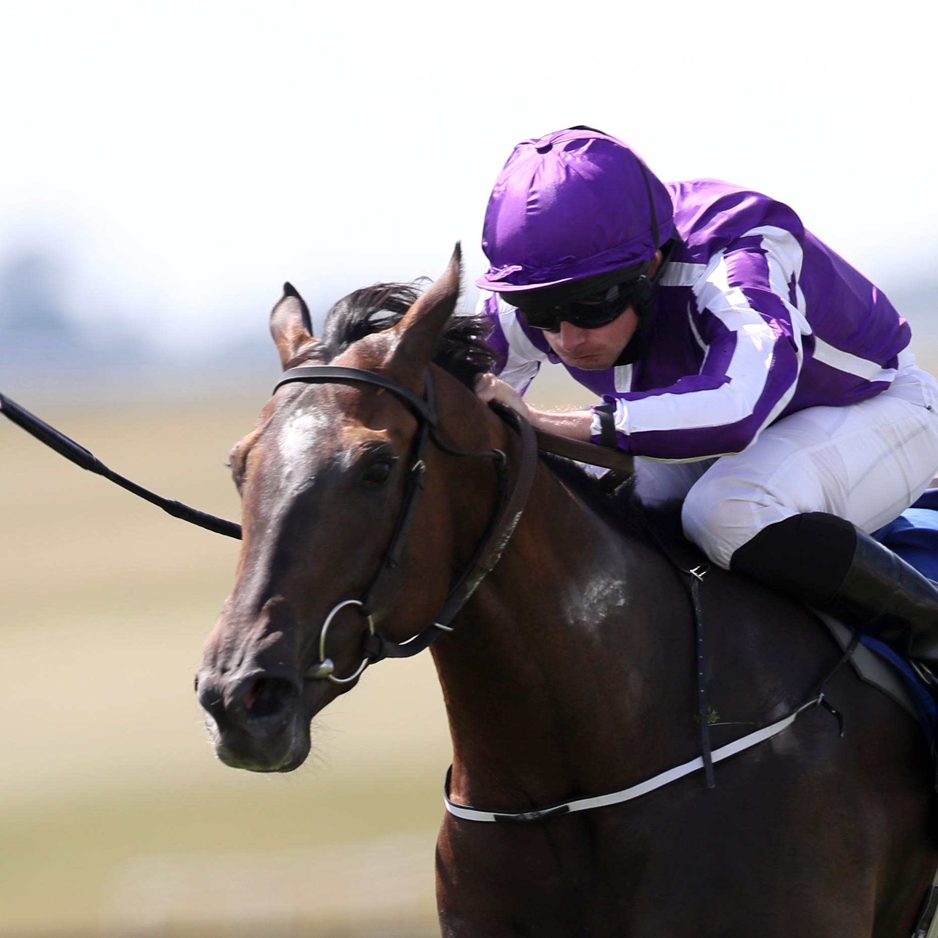 So Perfect is now heading for Royal Ascot