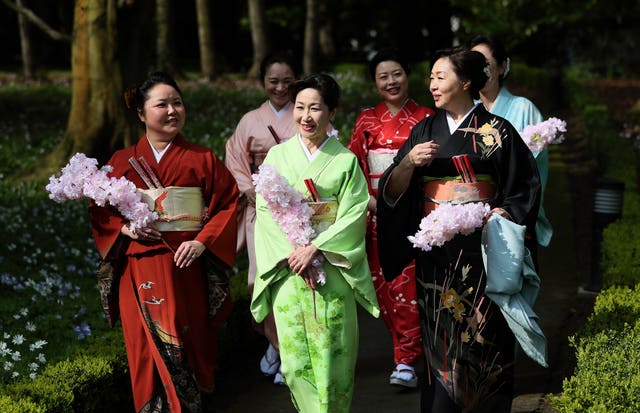 Japanese Hanami festival in Dublin