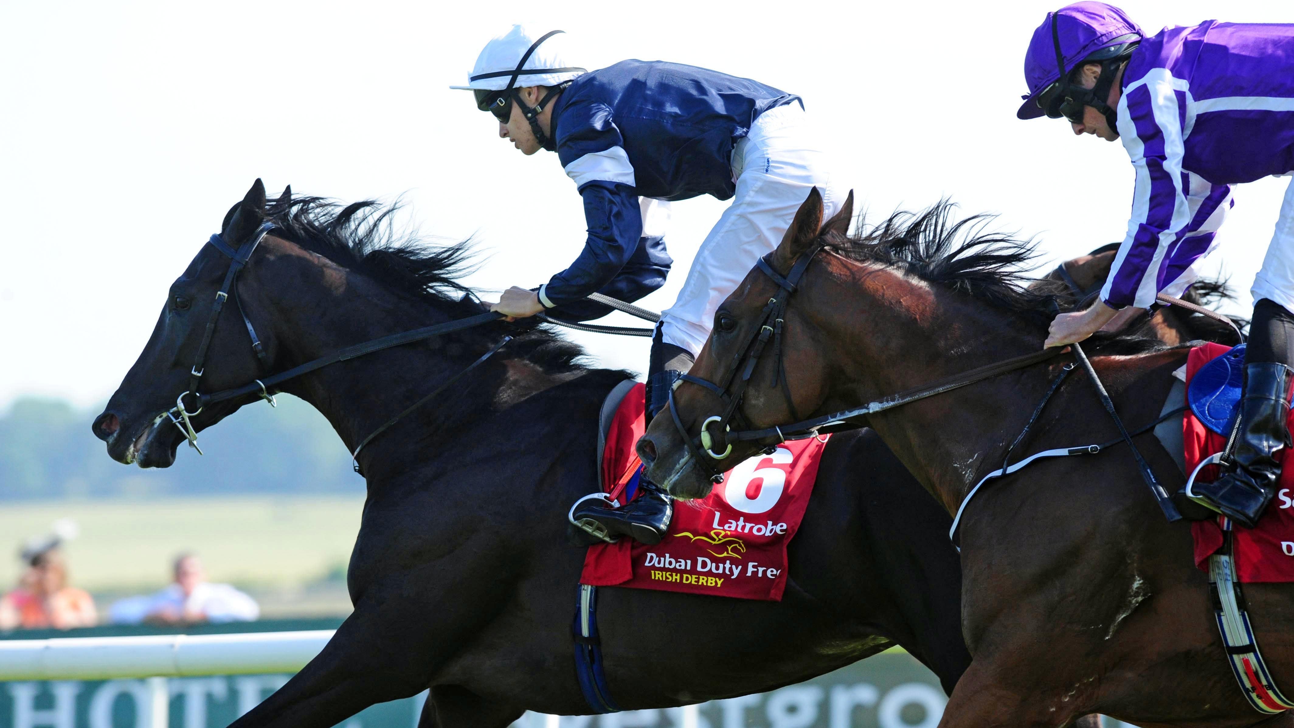 Image result for latrobe melbourne cup