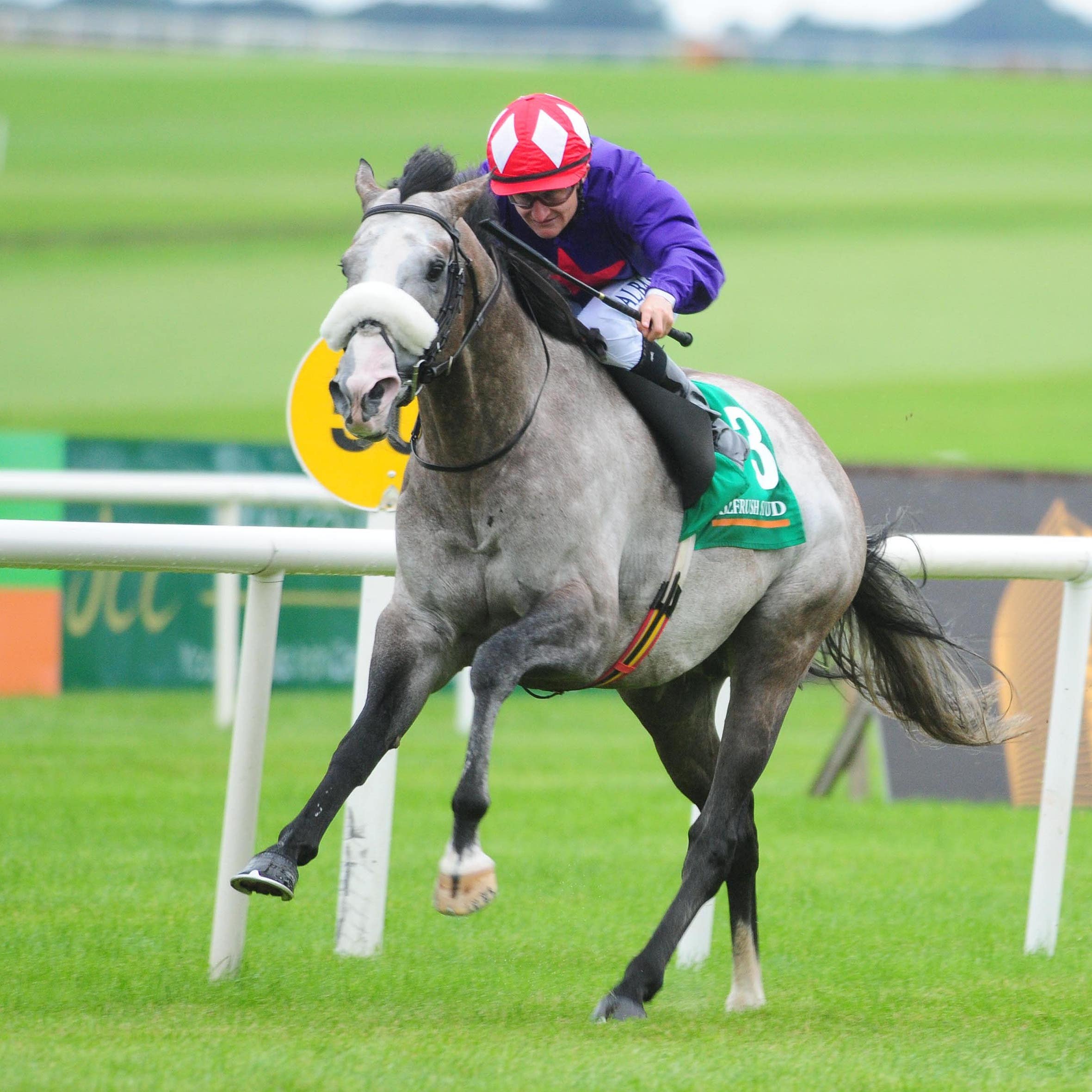 Success Days heads to France on Monday