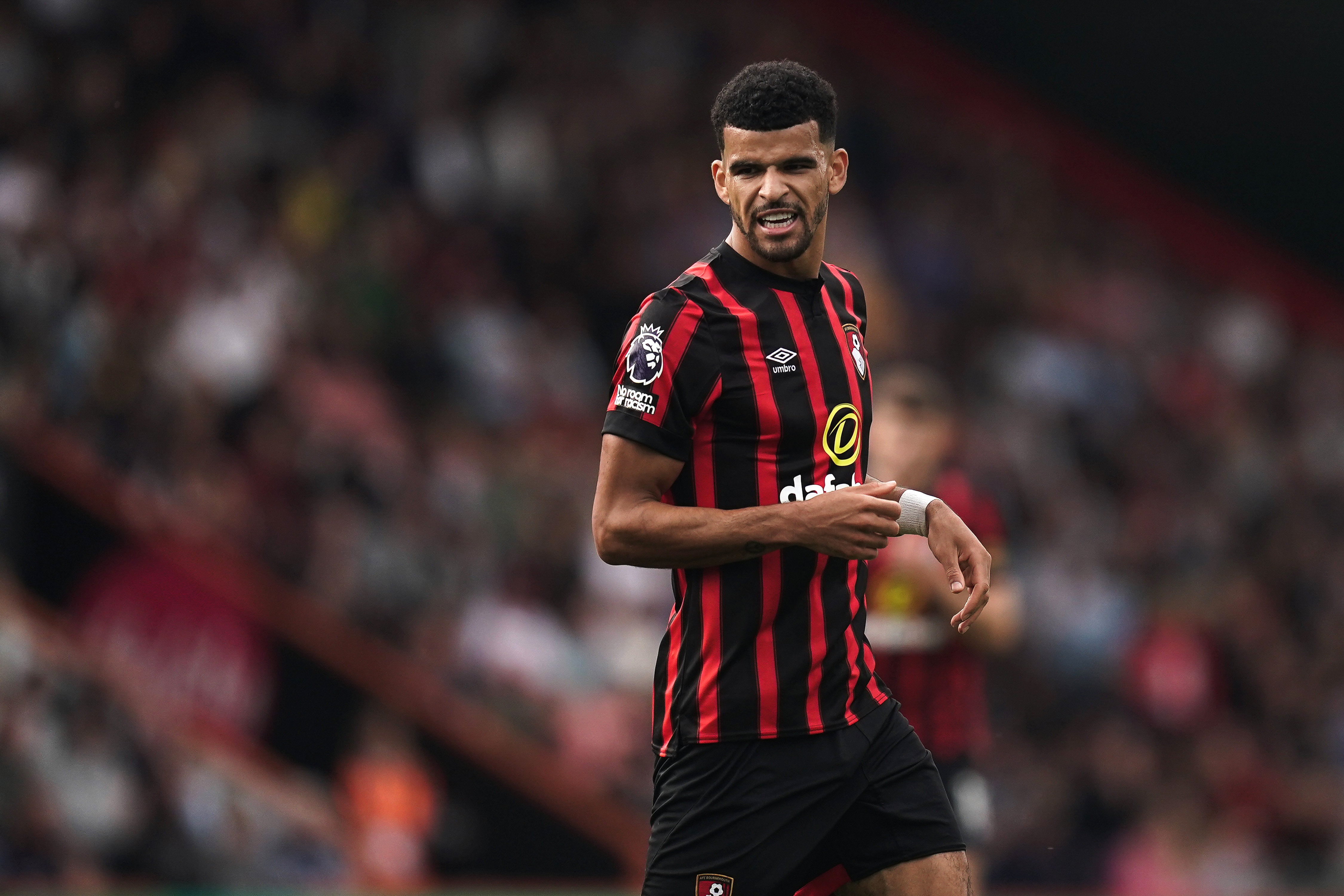 Tottenham Agree Deal With Bournemouth To Sign Dominic Solanke | Watford ...