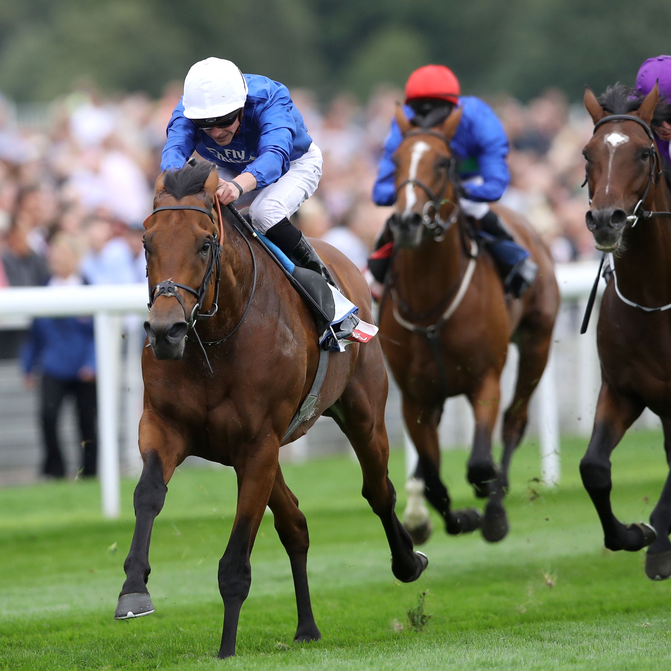 Old Persian may give Royal Ascot a miss