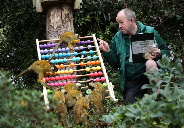 ZSL London Zoo annual stocktake