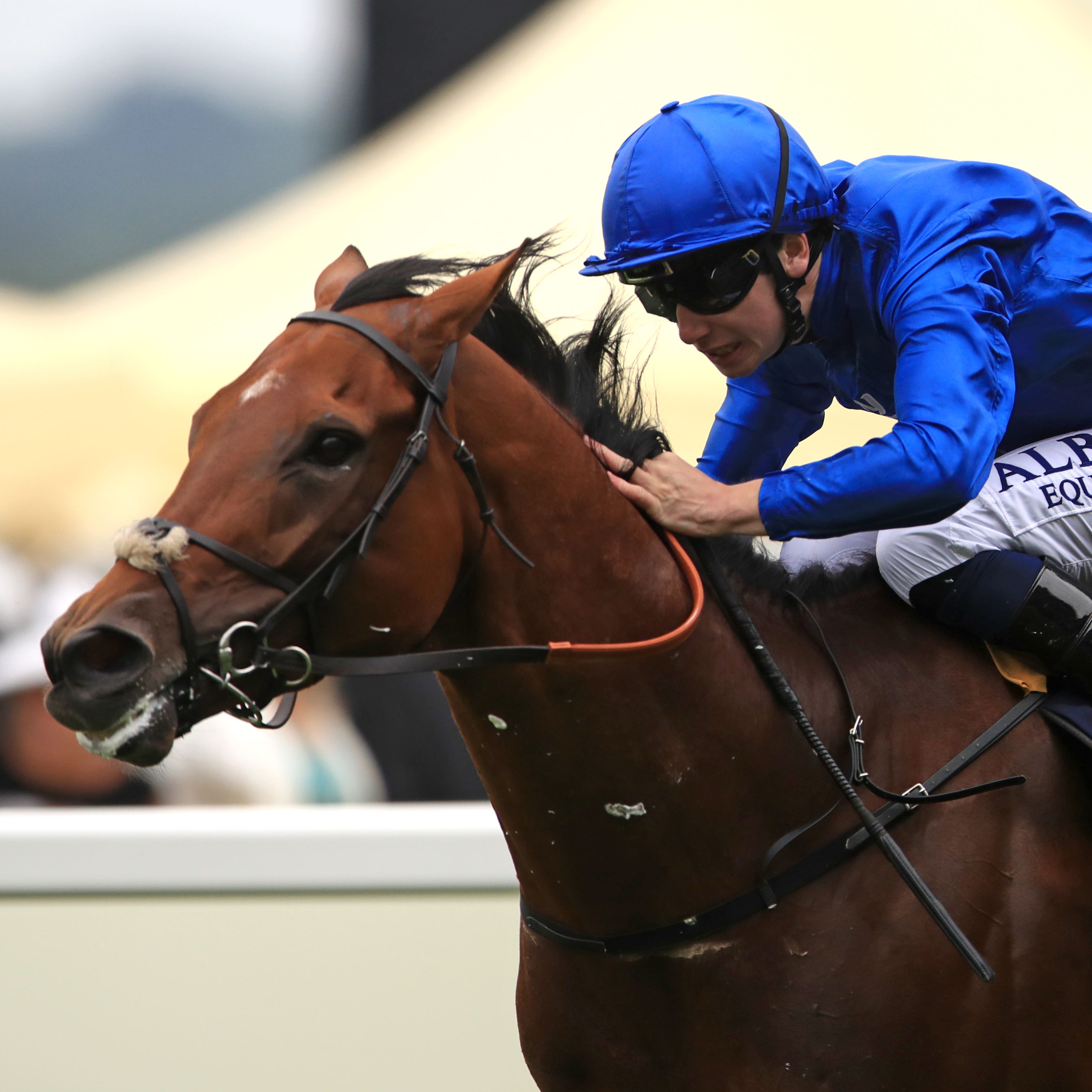 Benbatl who is set to clash with Winx when heading to Australia