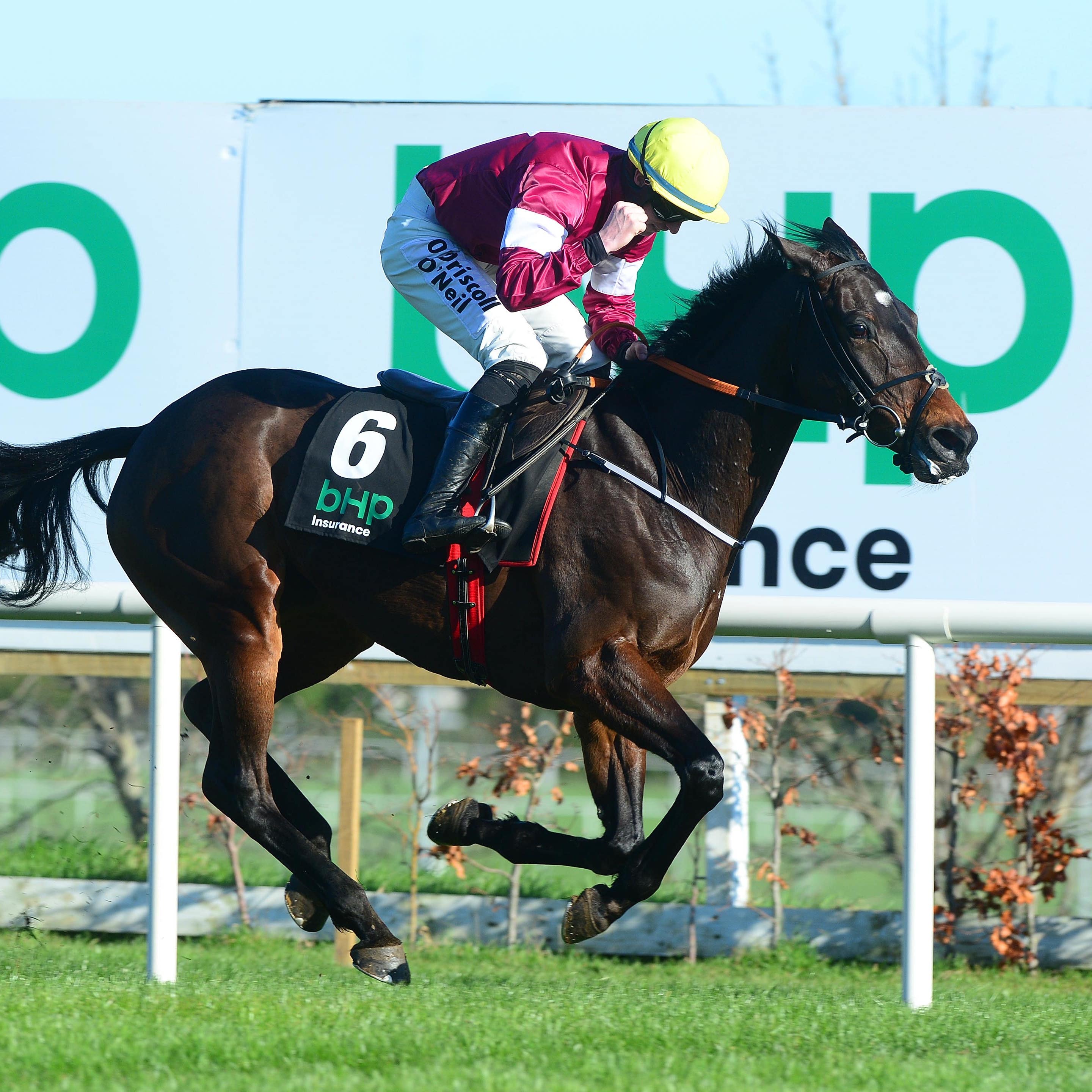 Apple's Jade will aim to bounce back at Punchestown