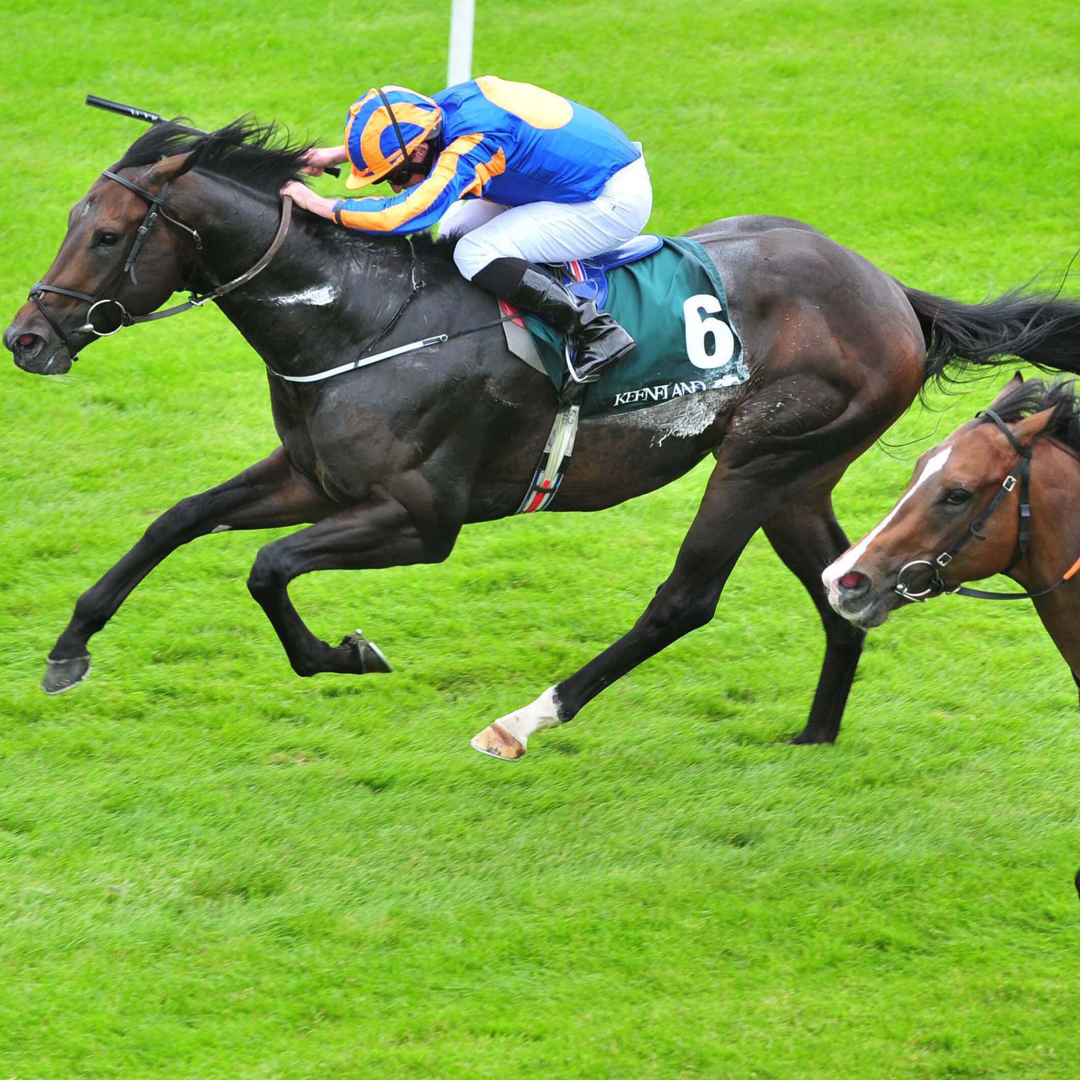 Sioux Nation (left) winning the Phoenix Stakes last season (PA)