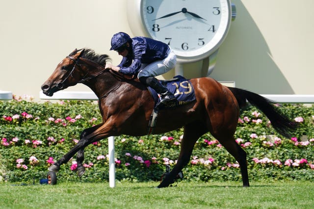 Warm Heart was an impressive winner at Royal Ascot in June