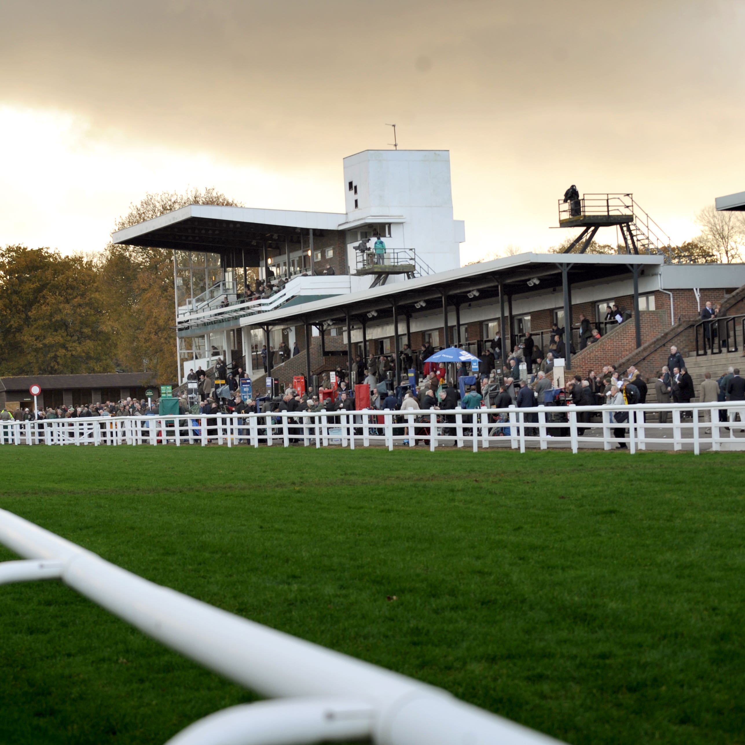 Racing at Plumpton