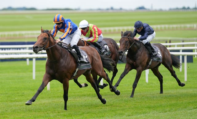 The Lion In Winter (left) was too good for his Curragh rivals