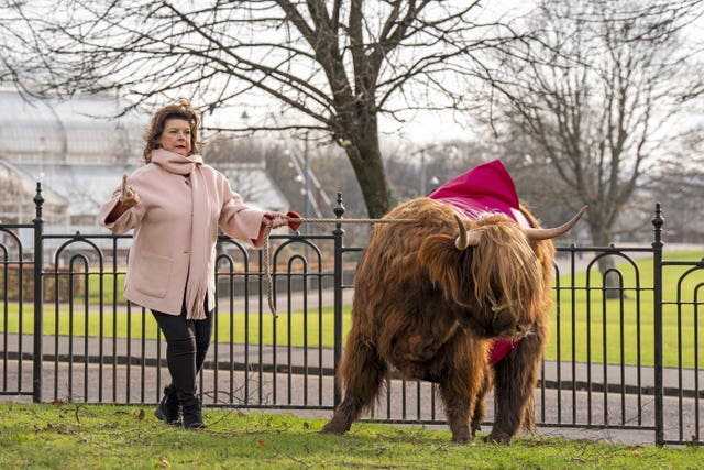 Elaine C Smith holding the end of a rope which is tied to a Highland cow