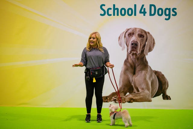 The School 4 Dogs held demonstrations 