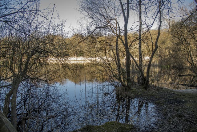 The lake in Epping Forest where Richard Okorogheye's body was found