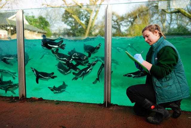 ZSL London Zoo annual stocktake