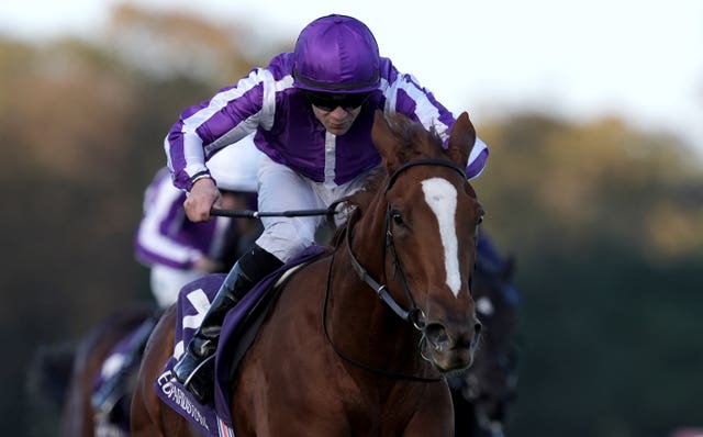 Exactly was a winner at Leopardstown in October 