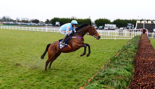 Un De Sceaux's jumping was one of his biggest assets