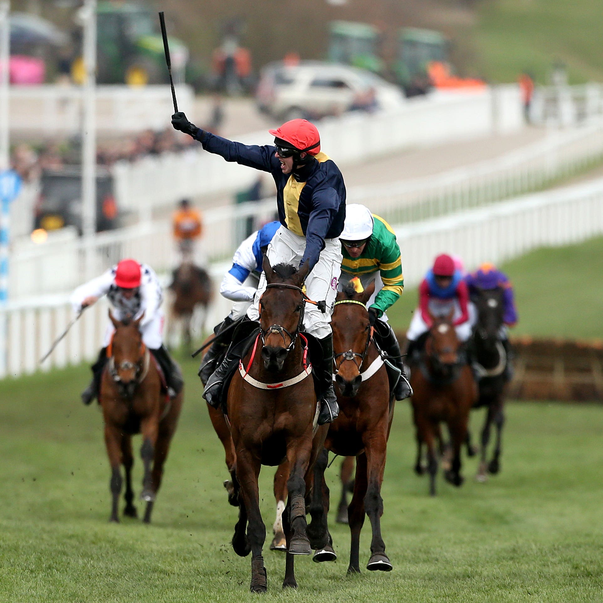 City Island wins the Ballymore Novices' Hurdle at Cheltenham