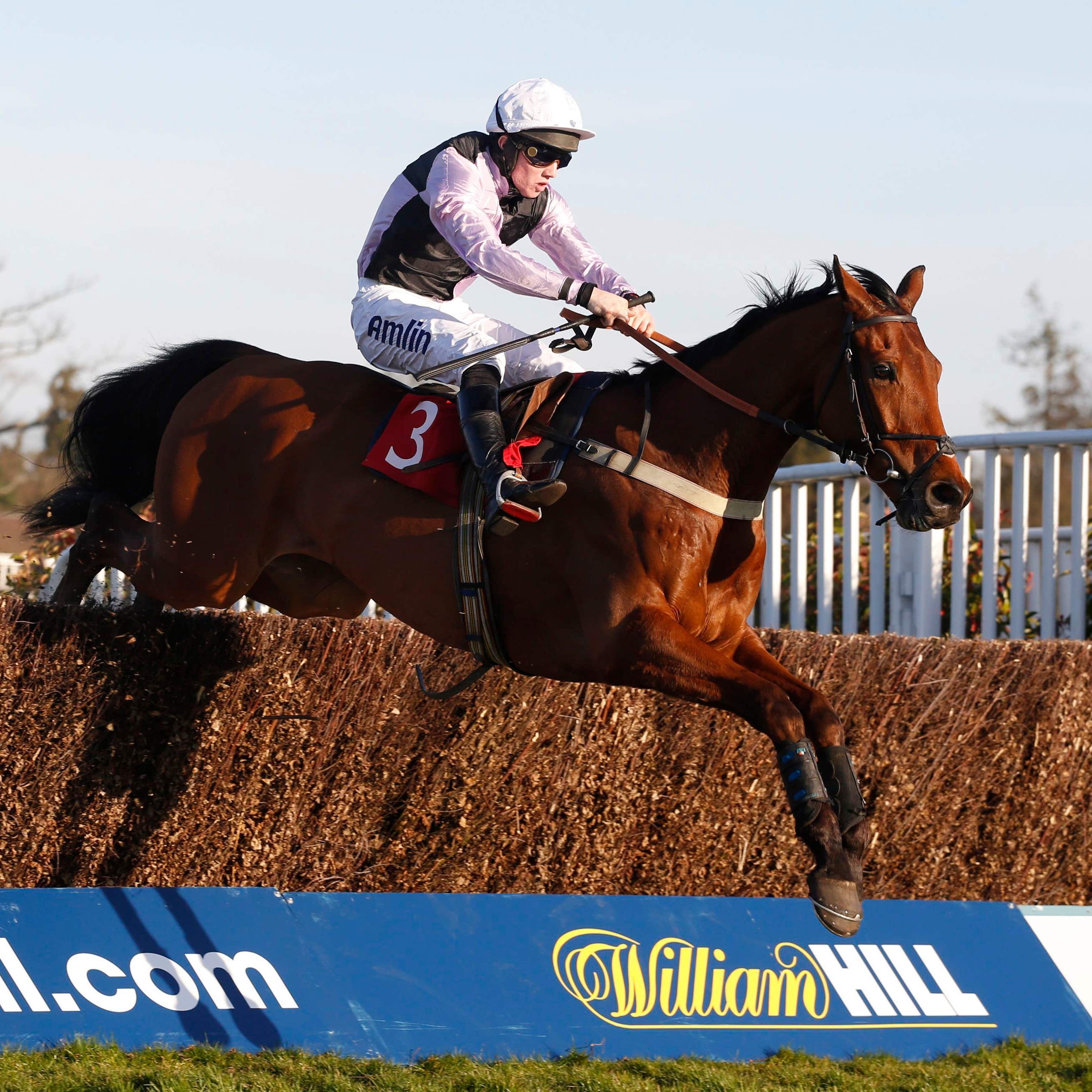 Traffic Fluide is being aimed at the Grand National at Aintree
