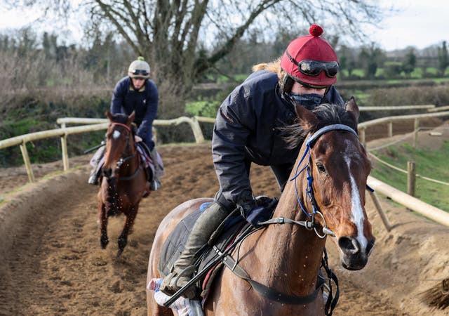 Hewick on the gallops at Shark Hanlon's yard 