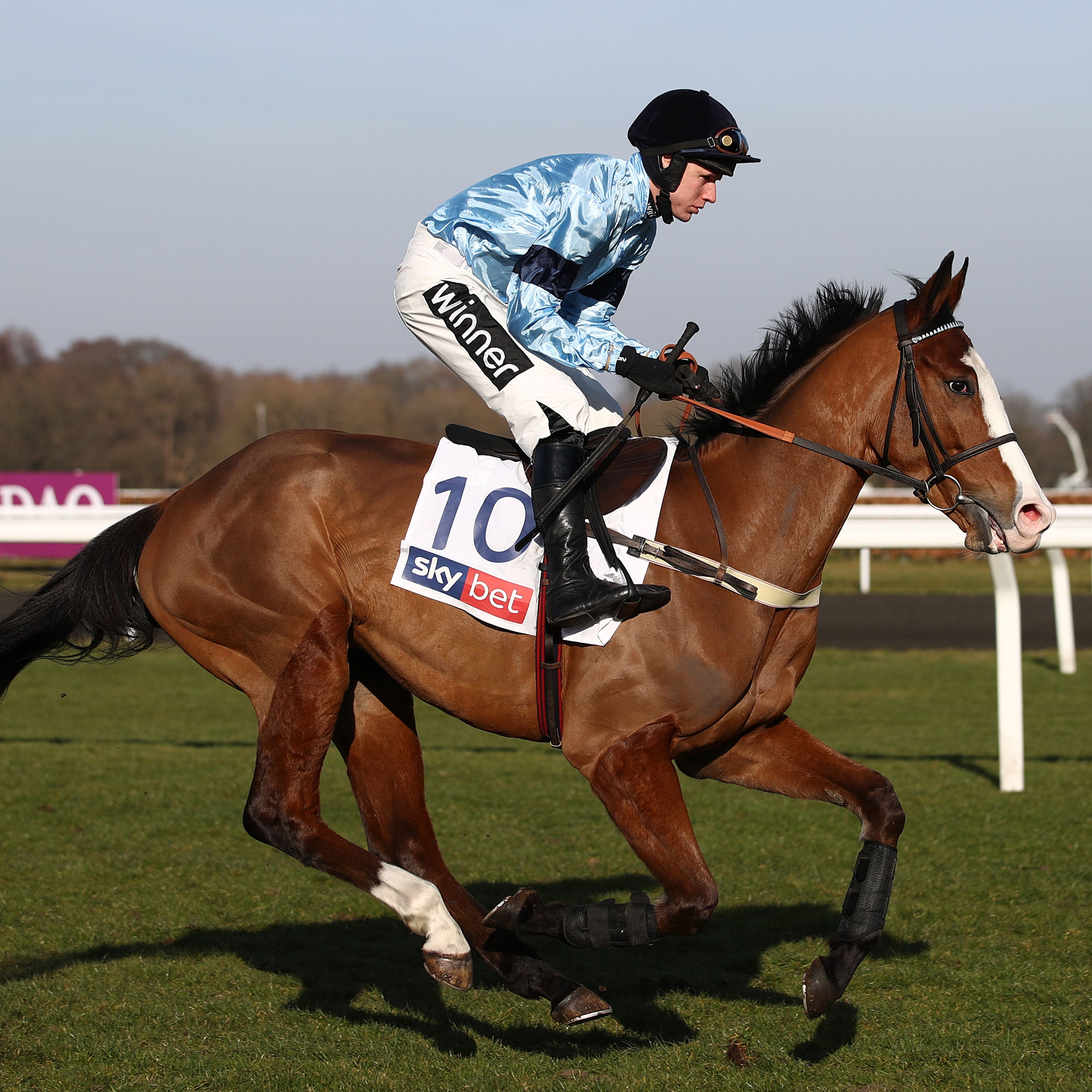 Ballywood landed the feature at Ludlow