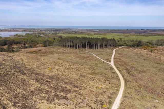 The Remstone Estate on Purbeck Heaths in Dorset 