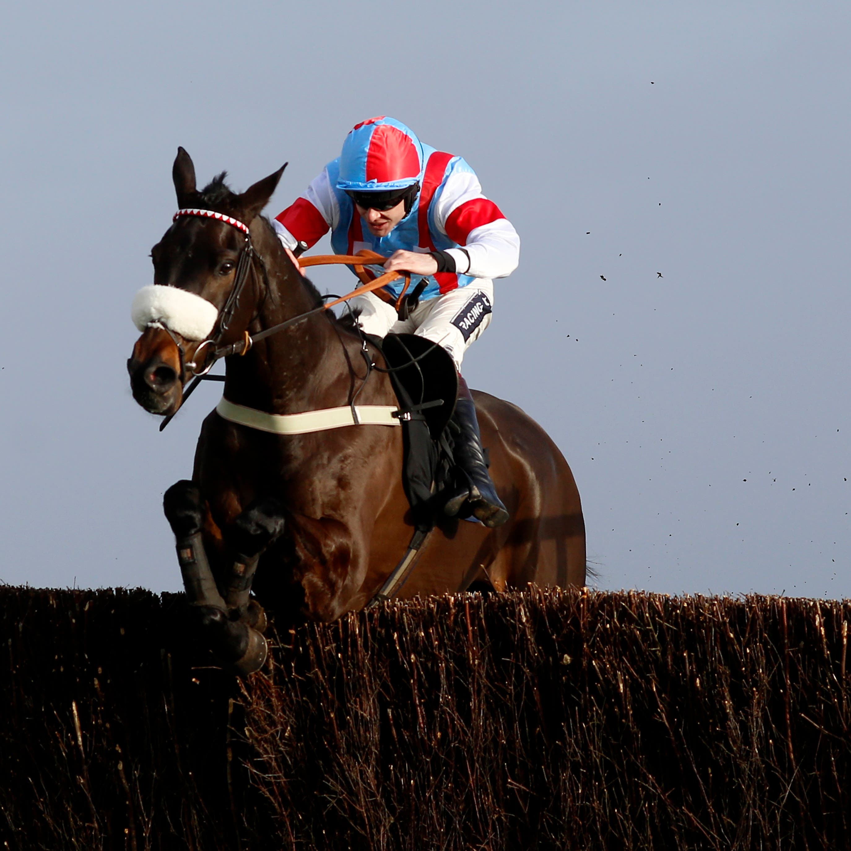 Saint Calvados, who shocked Footpad at Naas