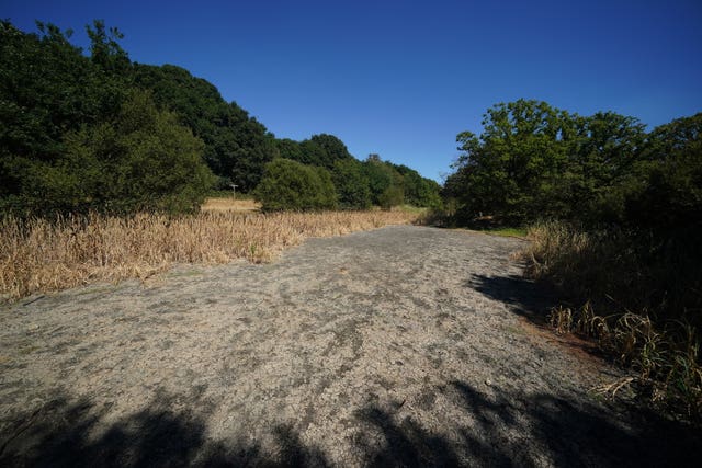 The dried bed at Heronry Pond in Wanstead Park, east London, in August 2022