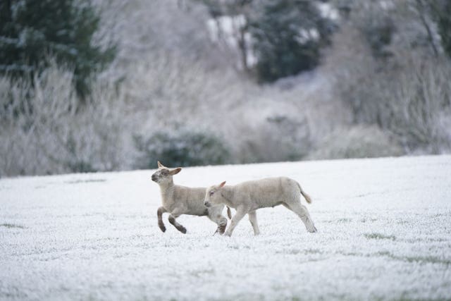 Spring weather Mar 7th 2023