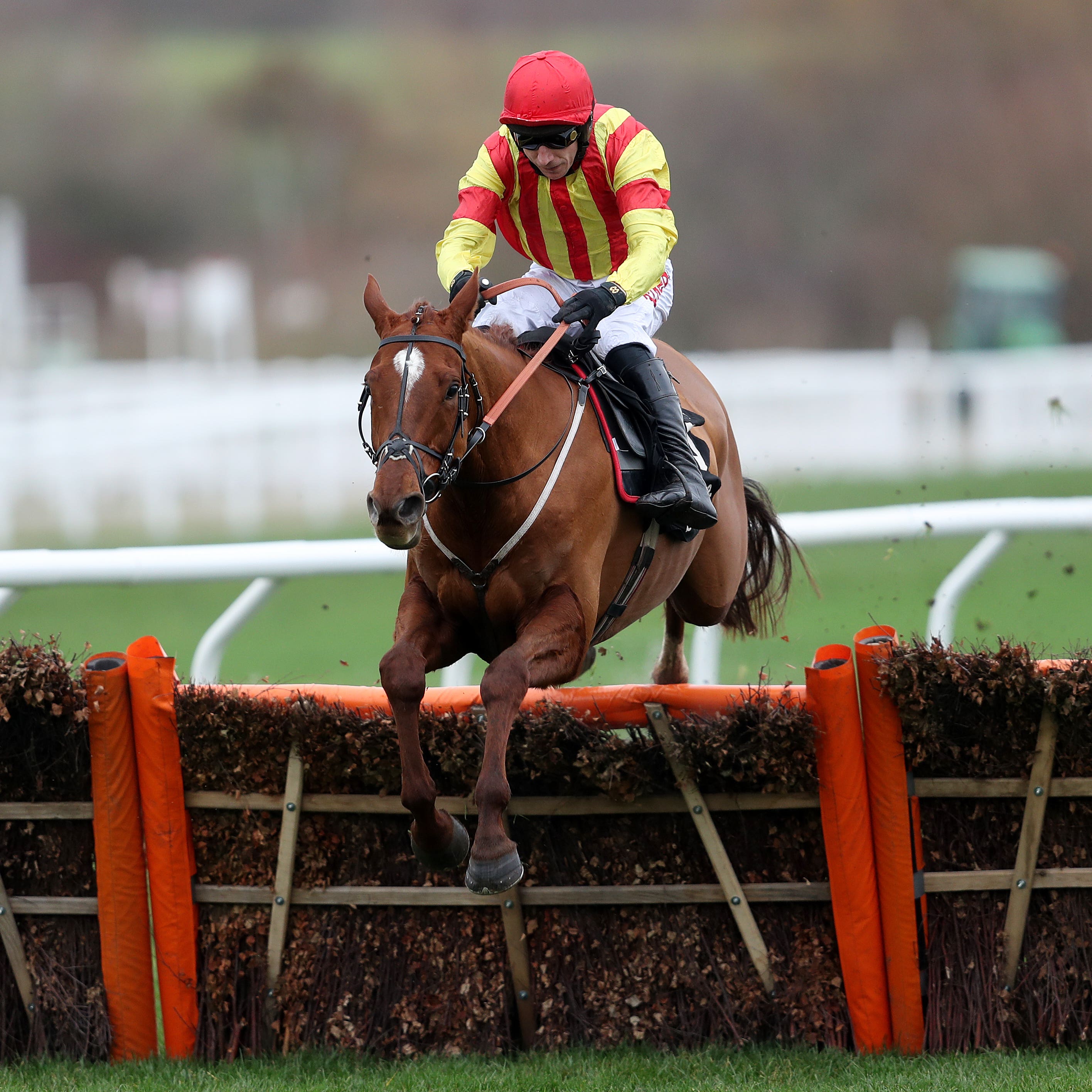 Jarveys Plate was an easy winner at Cheltenham