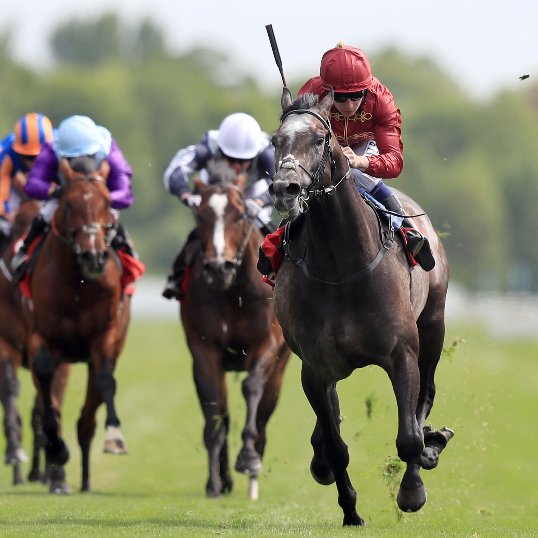 Roaring Lion rocketed to Dante success (Simon Cooper/PA)