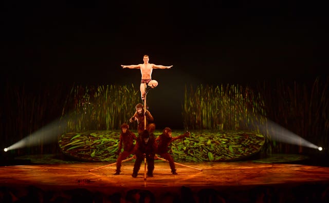 Totem by Cirque Du Soleil