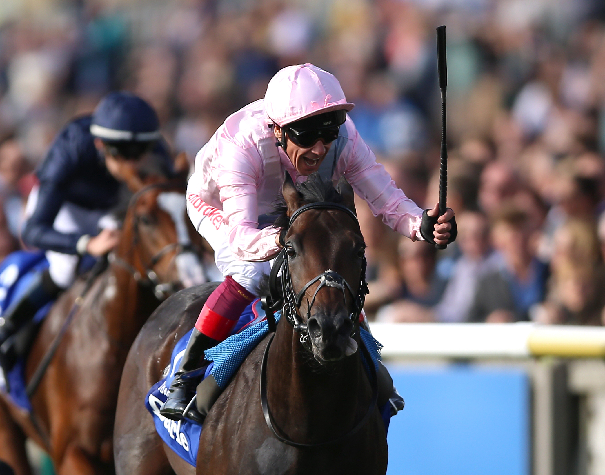 Search Toggle Navigation Display Site Search Horse Racing Ireland Cards Results Racecards Racing Tips Ground Reports Meeting Updates Race Results Results Archive Fixture List Cards Results Cards Results Racecourses Events Racecourses