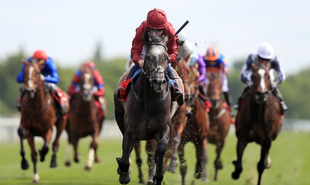 Roaring Lion bolted up in the Dante at York