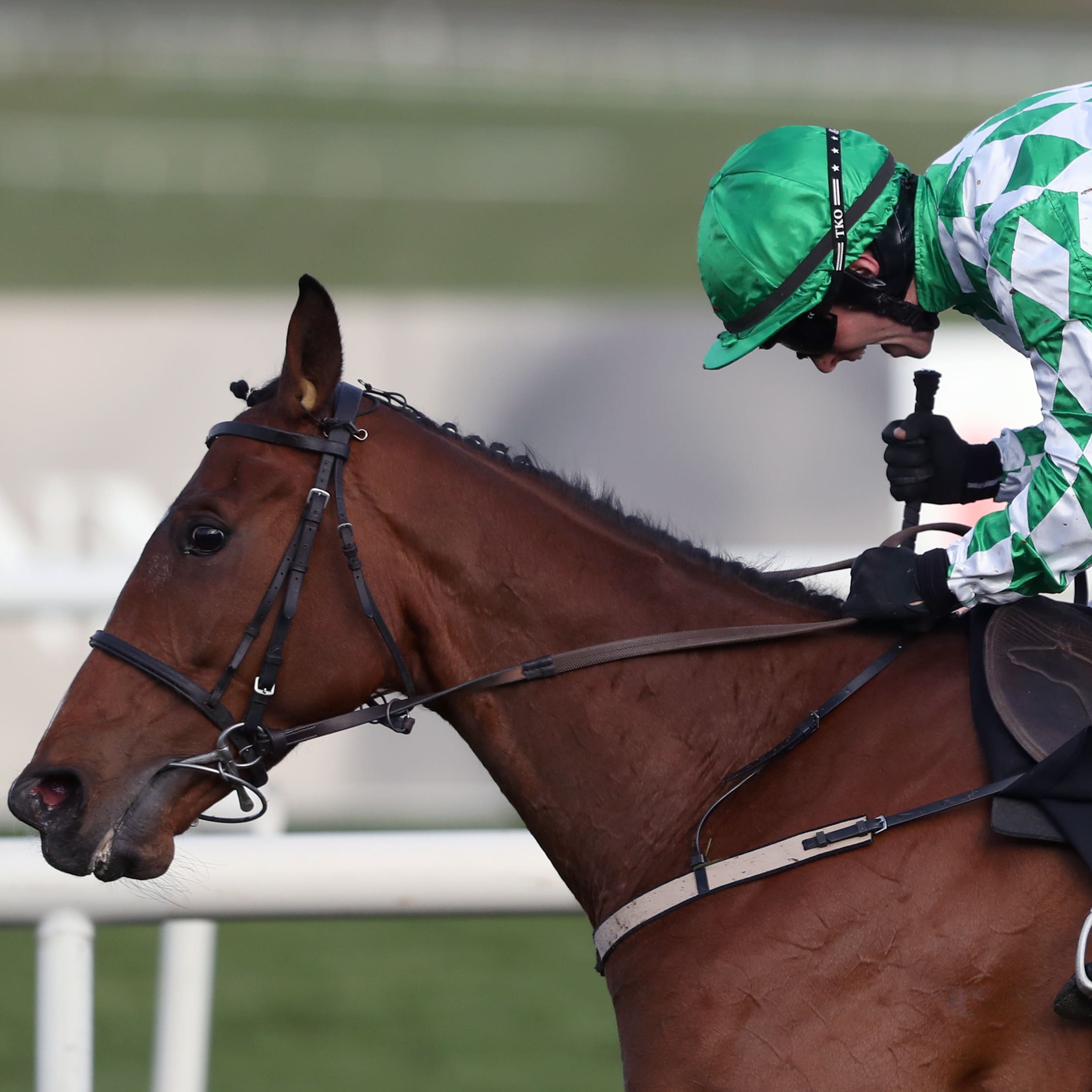 Tornado Flyer wins at Punchestown