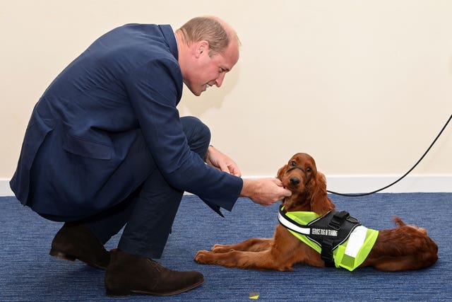 Duke of Cambridge visit to Belfast