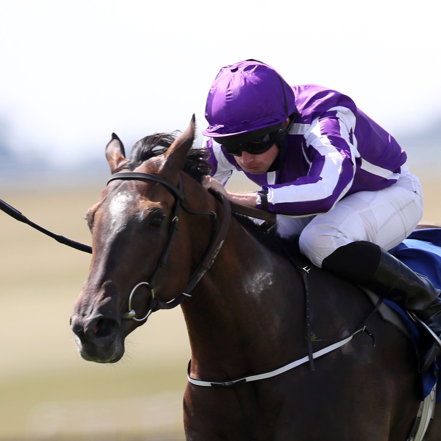 So Perfect heads the Killavullan entries